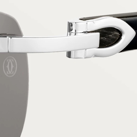 SUNGLASSES C ALLONGÉ DE CARTIER MOTIF - Picture 4 of 10